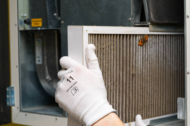 Best Duct Cleaning Specialists  in Versailles, PA